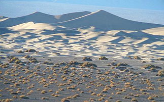 are sand eels dangerous,Are Sand Eels Dangerous?