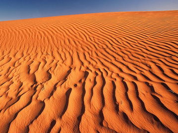 western sand cherry colorado,Western Sand Cherry Colorado: A Detailed Overview