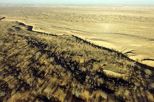 national sand dune day,National Sand Dune Day: A Celebration of Nature’s Masterpieces