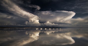 salt lake sand dunes,Salt Lake Sand Dunes: A Dazzling Desert Landscape Awaiting Your Exploration