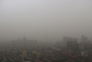 chaoyang sand storm 26×4,Chaoyang Sand Storm 26×4: A Comprehensive Overview