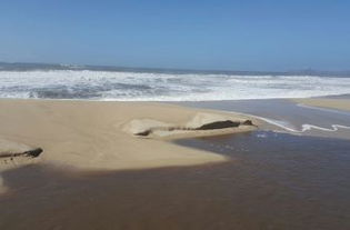 kurnell beach sand dunes,Geological Formation