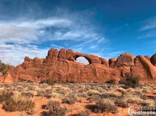 sand dune arch trailhead,Sand Dune Arch Trailhead: A Comprehensive Guide