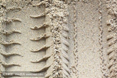 wolf tracks in sand,Wolf Tracks in Sand: A Detailed Exploration