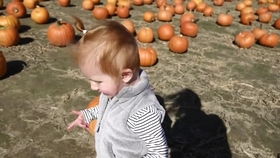 sand springs pumpkin patch,Sand Springs Pumpkin Patch: A Fall Harvest Adventure for You