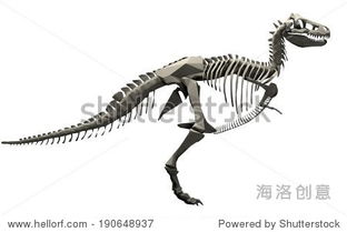 dinosaur skeleton sand mold,Dinosaur Skeleton Sand Mold: A Detailed Multi-Dimensional Introduction